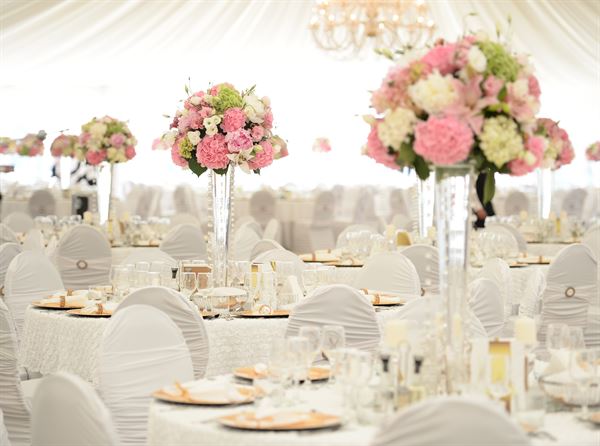 Live N Lavish Events