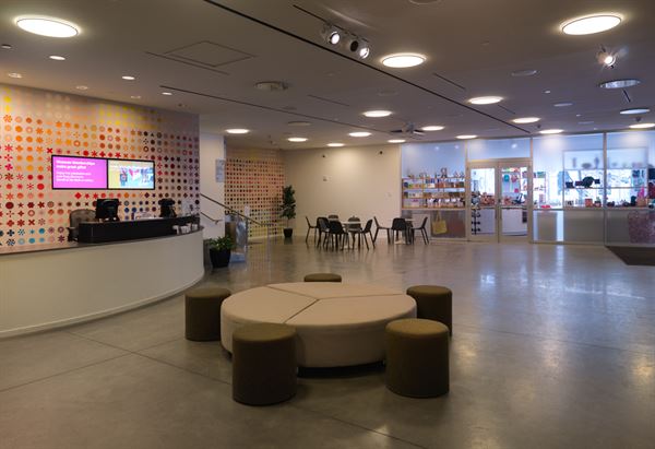 Rhode Island School of Design - RISD Museum, Campus, and Tillinghast Place