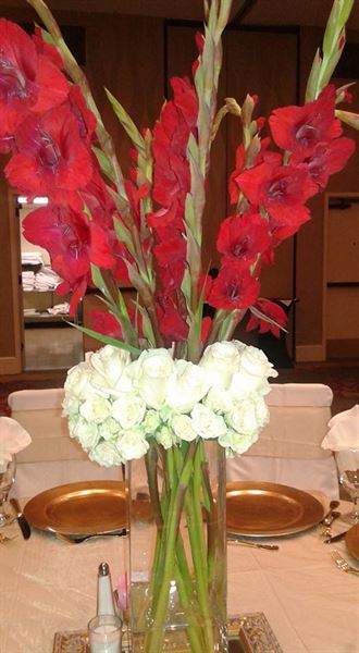 Red Lily  Occasions