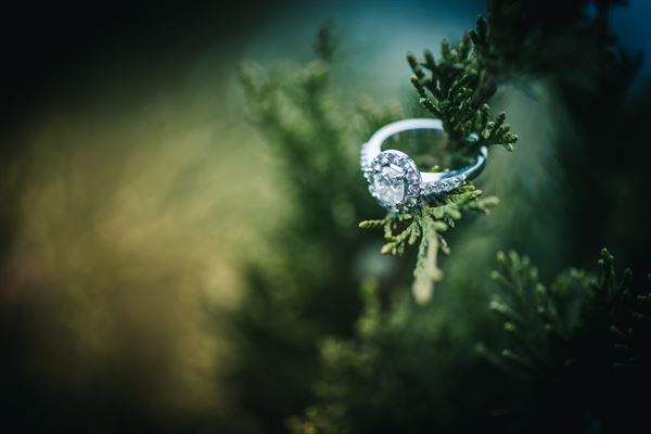 Vital Image Wedding Studios