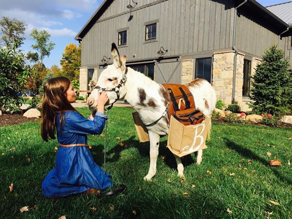 Barn at Bay Horse Inn