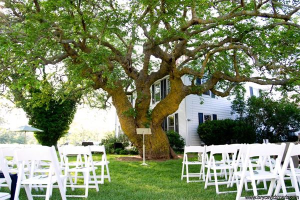 Truro Vineyards of Cape Cod