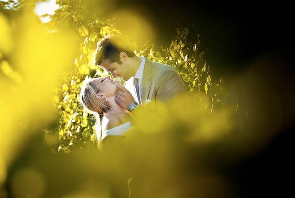 Truro Vineyards of Cape Cod