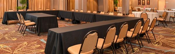 Holiday Inn Express & Suites Dallas South - Desoto