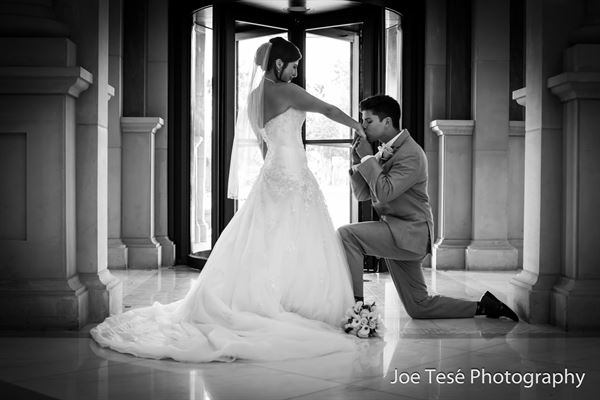 Joe Tese Photographer