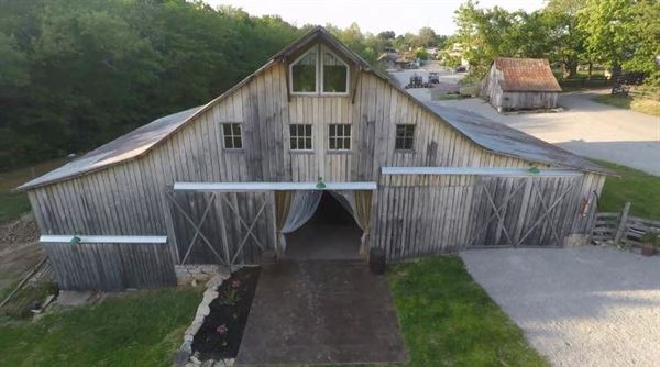 Janna Holland The Dove Lady