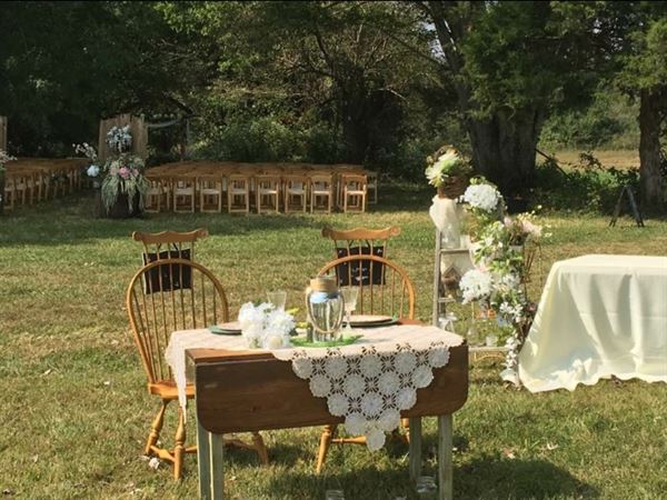 Janna Holland The Dove Lady