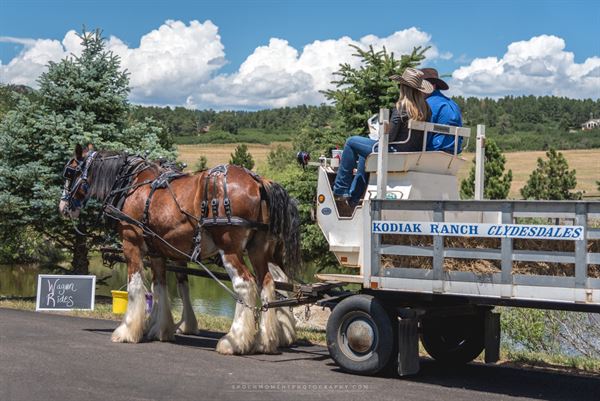 Spruce Mountain Events