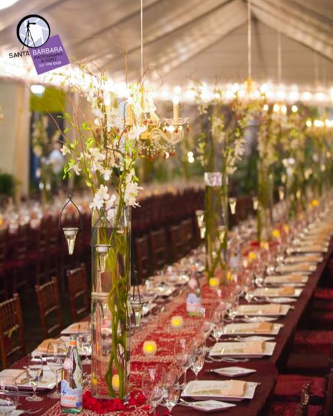 Bonnet House Museum & Gardens