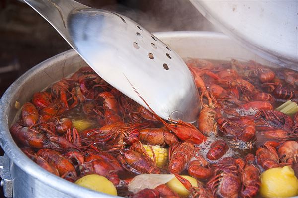 Stoney's Bar and Grill