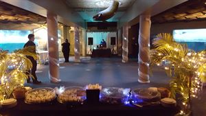 Rocky Coasts Gallery