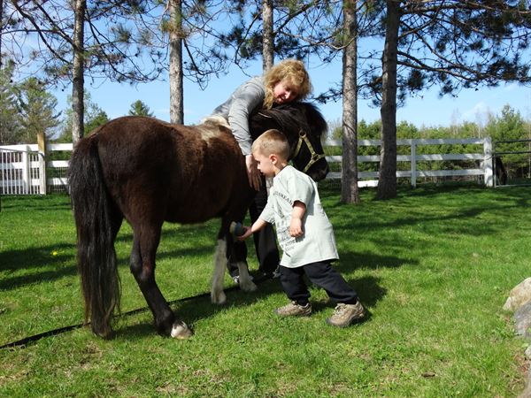 Schoolhouse Ice Cream & Farm