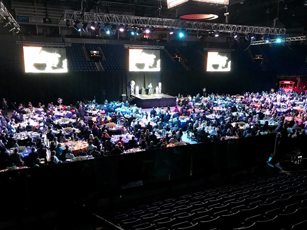 Illusion Sound and Lighting