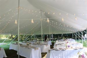 Large over-roof Banquet Pole Tent in the Forest Clearing