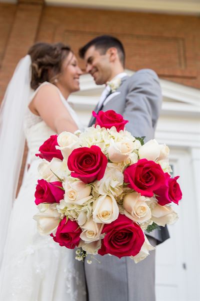 All Occasion Photography