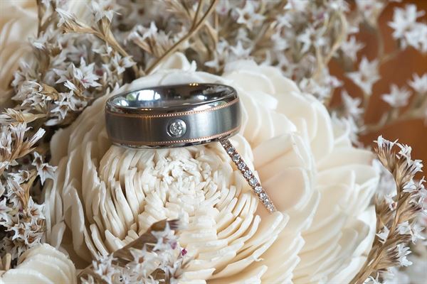 All Occasion Photography