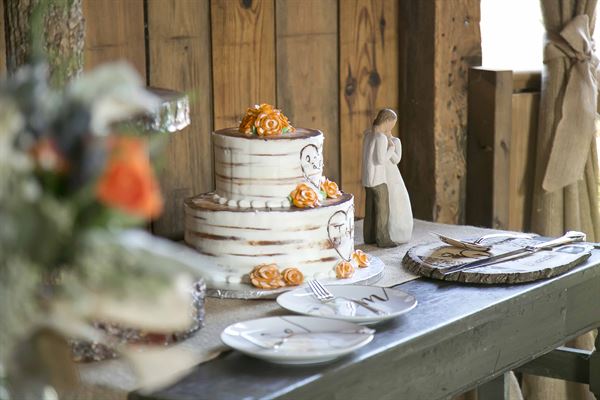 All Occasion Photography