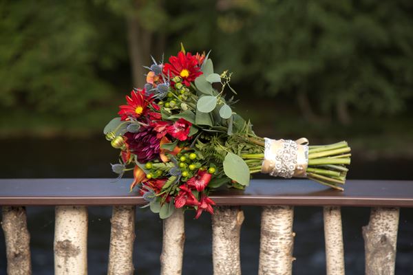 All Occasion Photography