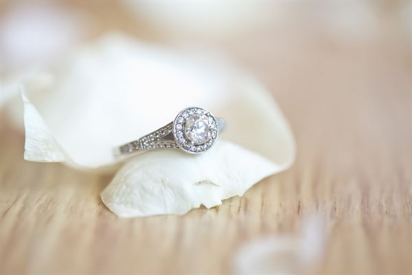 All Occasion Photography