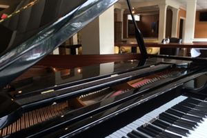 The Elevated Avondale Room