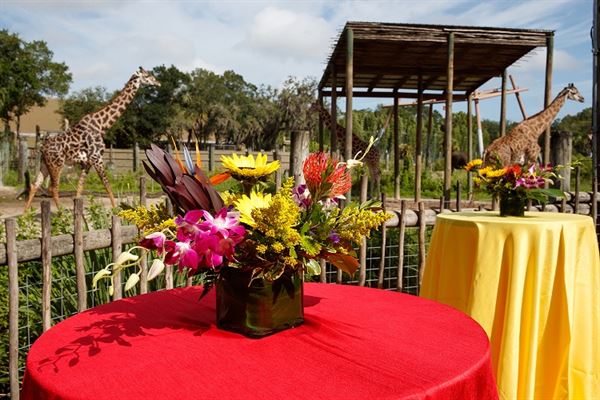 ZooTampa at Lowry Park