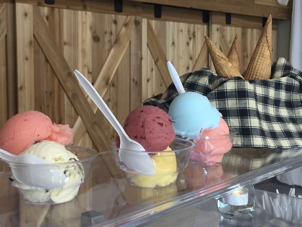 The Mobile Scoop Shop