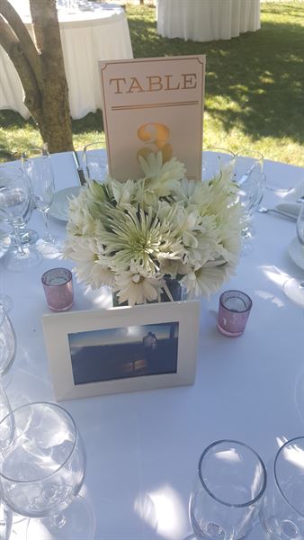 AR WEDDINGS N EVENTS