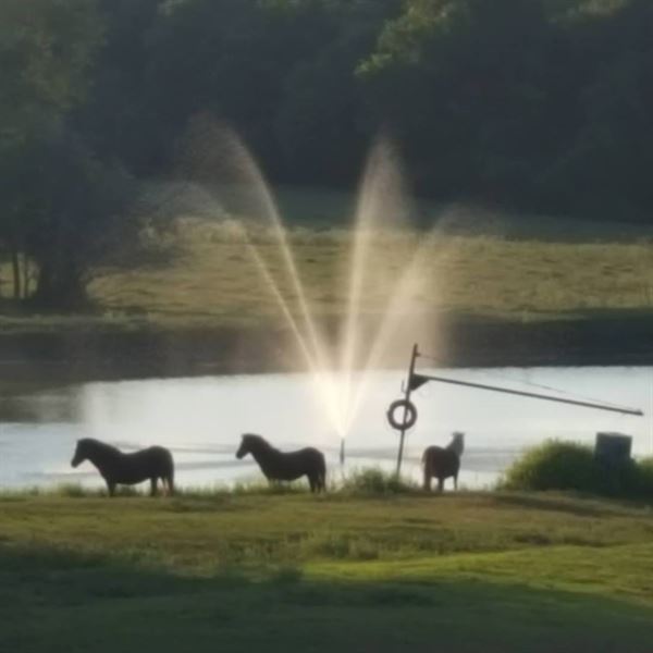The Cottages on Mill Creek