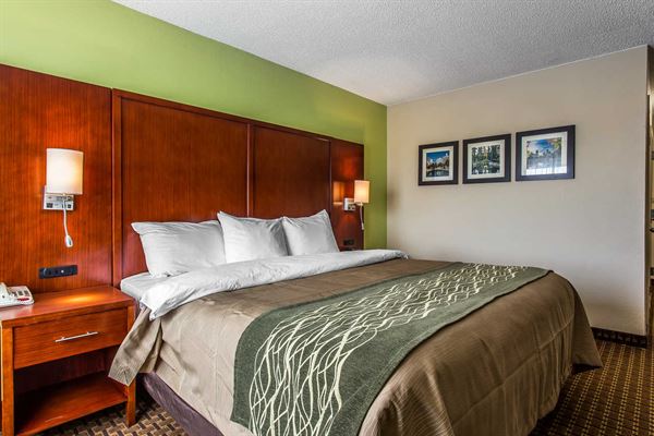 Comfort Inn At The Park