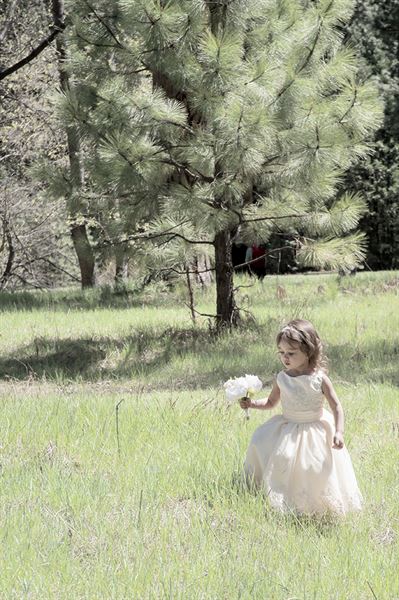 Photography and Video By Zarek