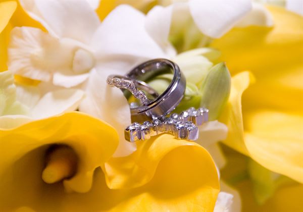 Photography and Video By Zarek