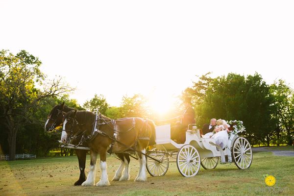 Daydream Events by Jess