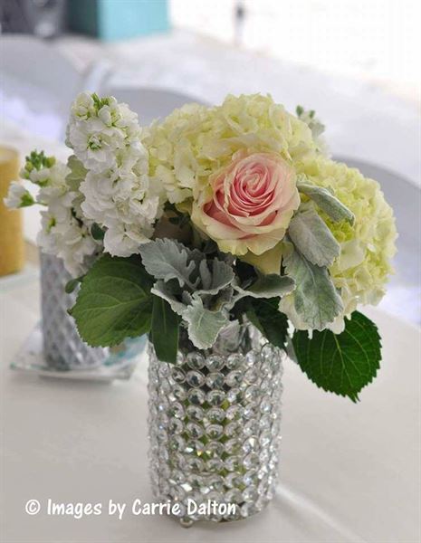 gold coast event services