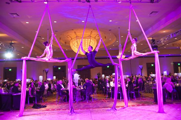 Moxxie Concepts | Event Management and Consulting