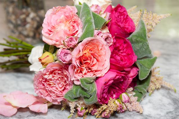 DelPrincipe Photography