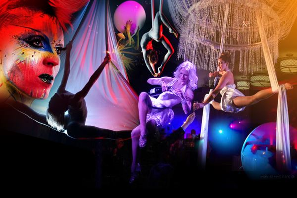 Aerial Artistry Agency