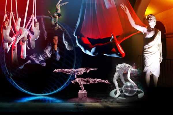 Aerial Artistry Agency