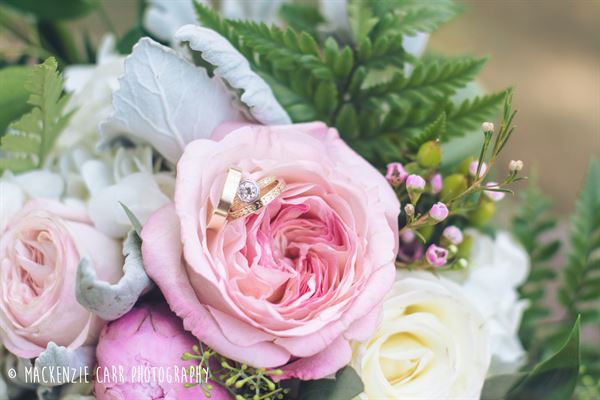 Mackenzie Carr Photography