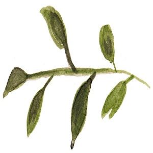 The One Moment Events