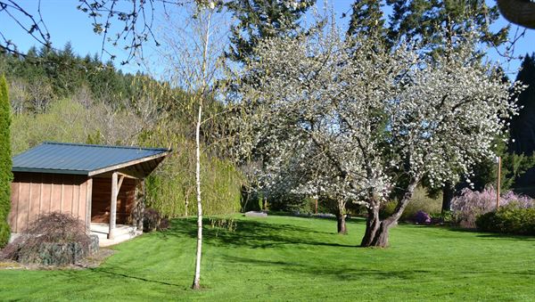 Camp Turnaround - Gales Creek