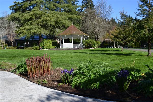 Camp Turnaround - Gales Creek