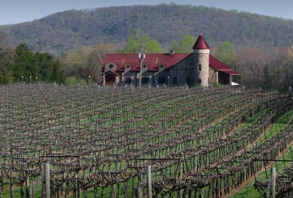 Horton Vineyards
