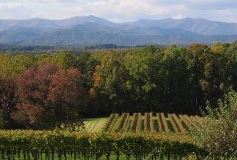 Horton Vineyards