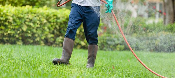 Terra Garden Solutions, Inc.