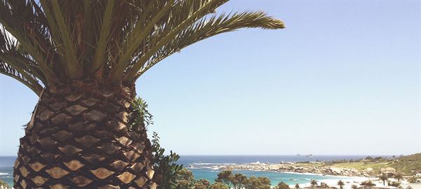 Terra Garden Solutions, Inc.