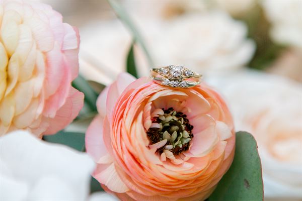 Two Birds Photography