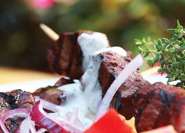 Ziziki's Preston Forest