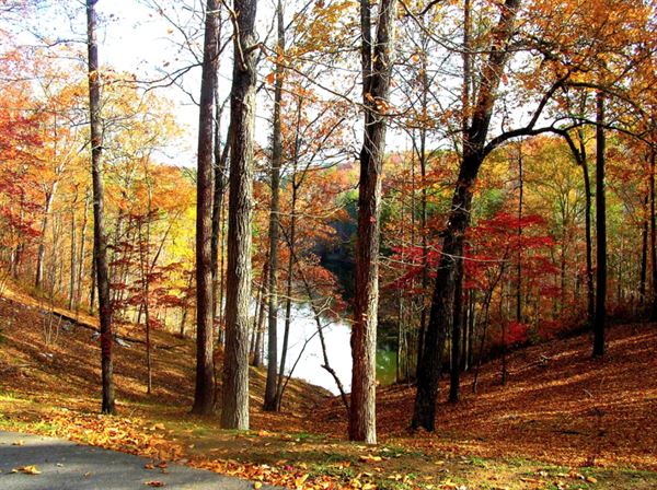 Blount Springs Chapel