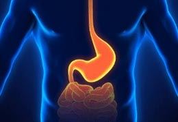 Colonoscopy and Endoscopy Center NYC