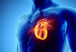 Colonoscopy and Endoscopy Center NYC